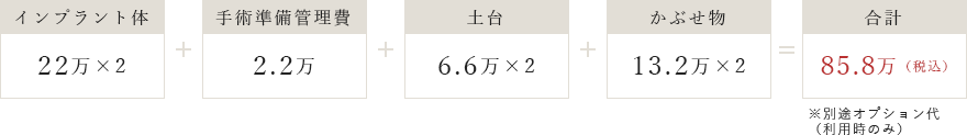 例2）2本治療でジンマー社カルシテックスプラインとジルコニア陶材特殊加工を選択した場合